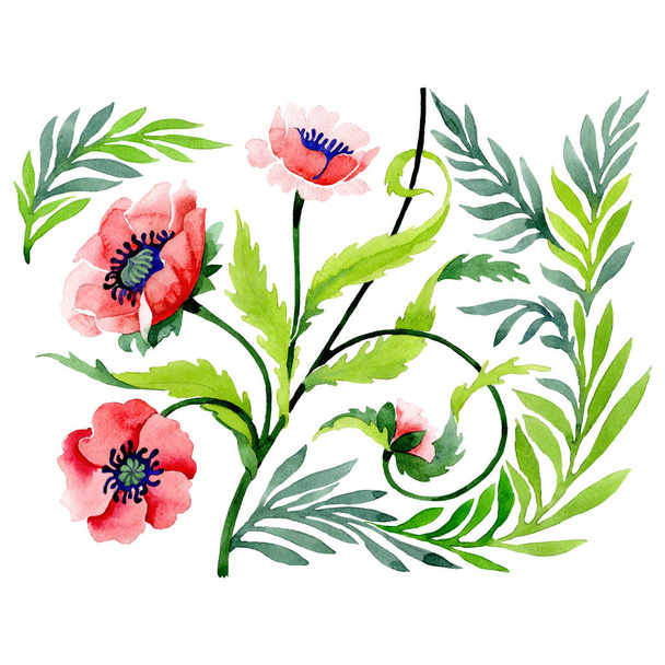Ornament with beautiful red poppies and leaves isolated on white. Watercolor background illustration. Watercolour drawing fashion aquarelle isolated illustration element. - 写真・画像