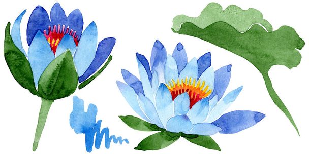 Mooie blauwe lotusbloemen op wit wordt geïsoleerd. Aquarel achtergrond illustratie. Aquarel tekenen mode aquarelle geïsoleerde lotus bloemen afbeelding element. - Foto, afbeelding