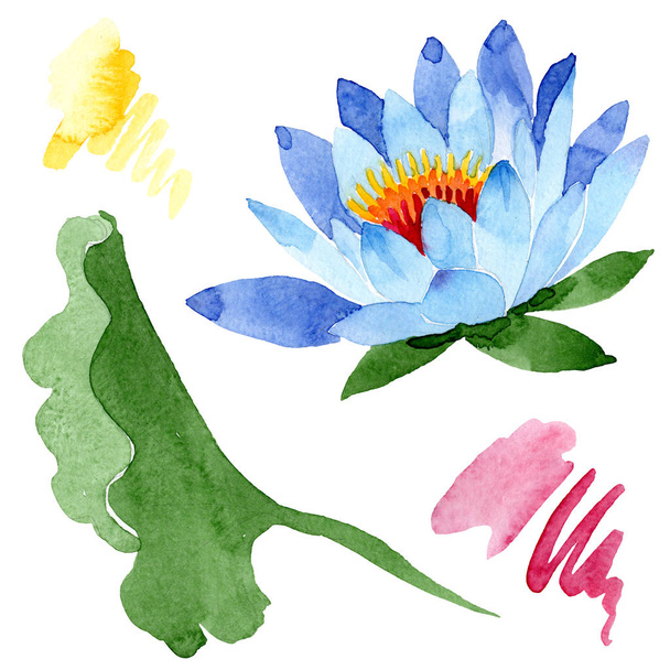 Beautiful blue lotus flower isolated on white. Watercolor background illustration. Watercolour drawing fashion aquarelle isolated lotus illustration element. - Photo, Image