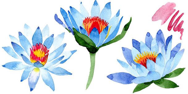 Beautiful blue lotus flowers isolated on white. Watercolor background illustration. Watercolour drawing fashion aquarelle isolated lotus flowers illustration element. - Photo, Image