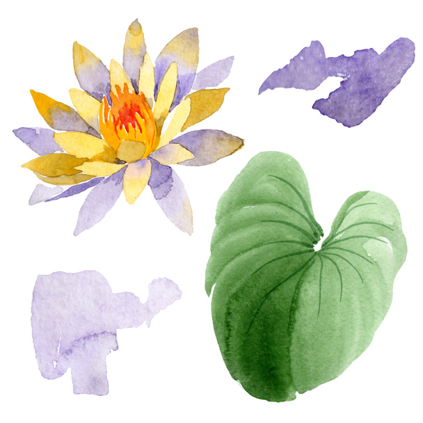 Gele lotusbloem op wit wordt geïsoleerd. Aquarel achtergrond illustratie. Aquarel tekenen mode aquarelle geïsoleerde lotus afbeelding element - Foto, afbeelding