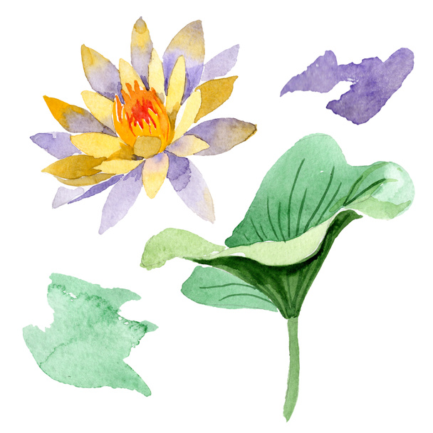 Yellow lotus flower isolated on white. Watercolor background illustration. Watercolour drawing fashion aquarelle isolated lotus illustration element - Valokuva, kuva