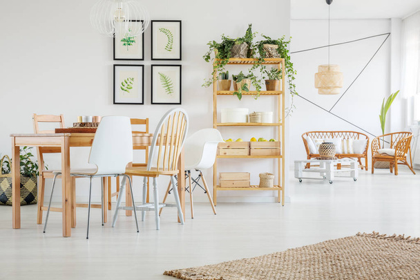 Természetes vászon szőnyeg, fehér fa padló, ízléses nappali és étkező belső rattan kanapé és fotelek és a fából készült asztal elegáns székek és az üres falra botanikai grafikai Galéria - Fotó, kép
