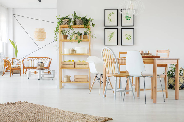 Selva urbana en estante de madera y carteles florales en pared vacía blanca en elegante apartamento de planta abierta con muebles naturales
 - Foto, Imagen