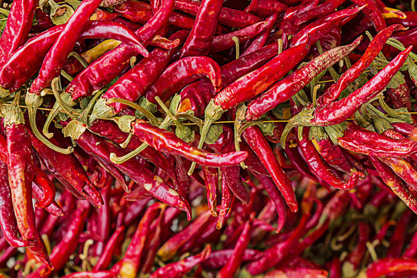 set of sharp dry pods of red chili peppers a lot of fruits horizontal pattern bases of sauces Asian Mexican dishes - Photo, Image