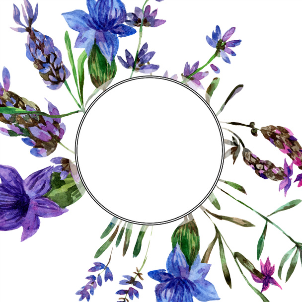 Beautiful purple lavender flowers isolated on white. Watercolor background illustration. Watercolour drawing fashion aquarelle. Frame border ornament. - Valokuva, kuva