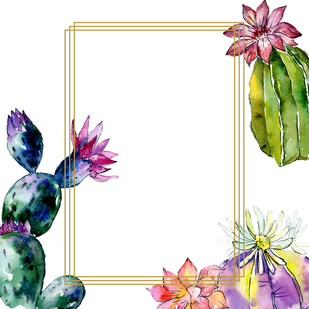 Beautiful green cactuses isolated on white. Watercolor background illustration. Watercolour drawing fashion aquarelle. Frame border ornament. - Foto, Bild
