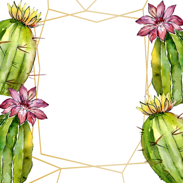 Beautiful green cactuses isolated on white. Watercolor background illustration. Watercolour drawing fashion aquarelle. Frame border ornament. - Φωτογραφία, εικόνα