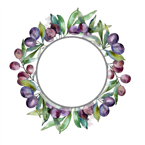 Olives on branches with green leaves. Botanical garden floral foliage. Watercolor illustration on white background. Round frame. - 写真・画像