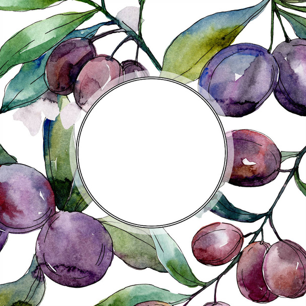 Olives on branches with green leaves. Botanical garden floral foliage. Watercolor illustration on white background. Round frame. - Fotó, kép