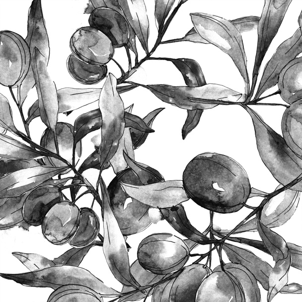 Black olives on branches with leaves. Botanical garden floral foliage. Watercolor background illustration. Seamless background pattern. Fabric wallpaper print texture. - Photo, Image