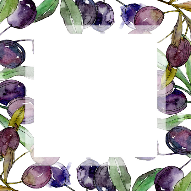 Black olives on branches with green leaves. Botanical garden floral foliage. Watercolor illustration on white background. Square frame. - Foto, imagen
