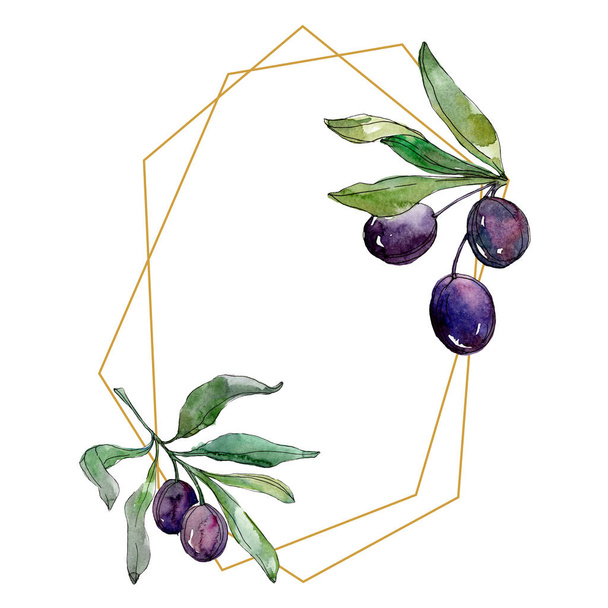 Oliven auf Zweigen mit grünen Blättern. Botanischer Garten blühendes Laub. Aquarell-Illustration auf weißem Hintergrund. Rahmen goldener Kristall. - Foto, Bild