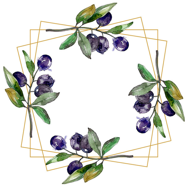 Olives on branches with green leaves. Botanical garden floral foliage. Watercolor illustration on white background. Frame golden crystal. - 写真・画像
