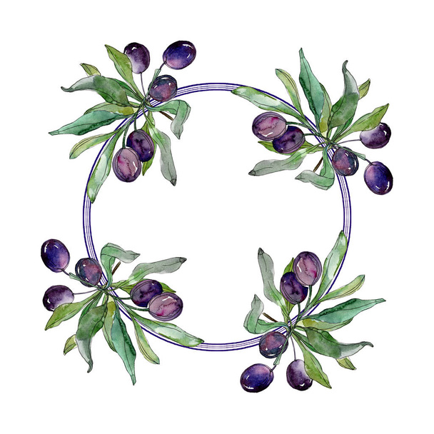 Olives on branches with green leaves. Botanical garden floral foliage. Watercolor illustration on white background. Round frame. - Φωτογραφία, εικόνα