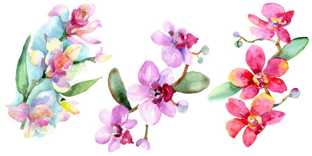 Beautiful orchid flowers with green leaves isolated on white. Watercolor background illustration. Watercolour drawing fashion aquarelle. Isolated orchids illustration element. - Фото, изображение