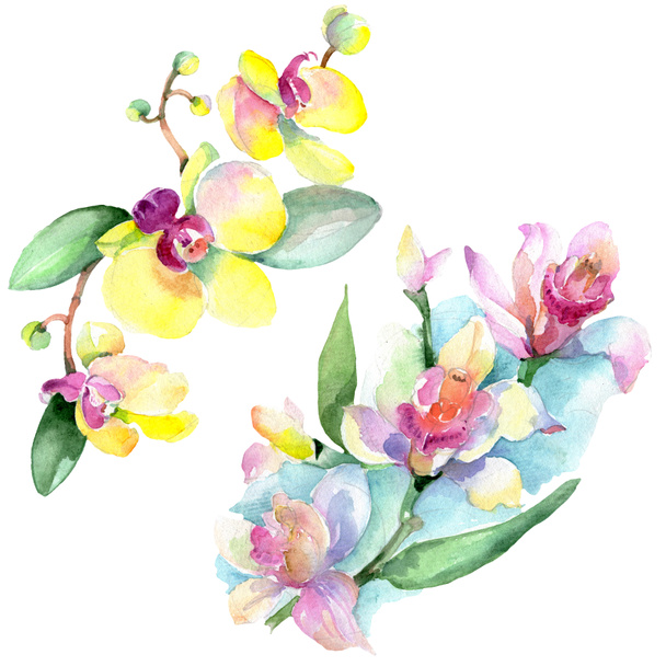Beautiful orchid flowers with green leaves isolated on white. Watercolor background illustration. Watercolour drawing fashion aquarelle. Isolated orchids illustration element. - Foto, imagen