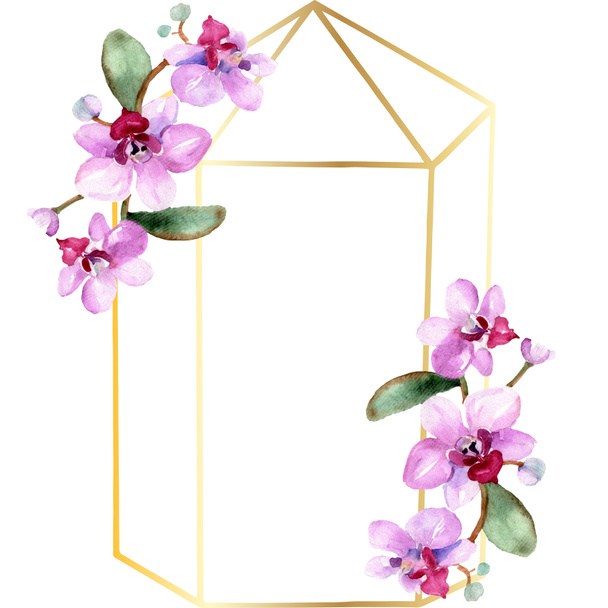 Flores bonitas do orchid com folhas verdes isoladas no branco. ilustração fundo aquarela. Aquarelle desenho aquarelle moda. Ornamento de borda quadro
. - Foto, Imagem