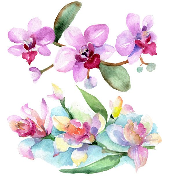 Beautiful orchid flowers with green leaves isolated on white. Watercolor background illustration. Watercolour drawing fashion aquarelle. Isolated orchids illustration element. - Foto, Bild