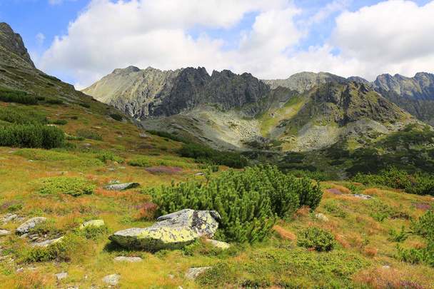 nice mountain landscape in Tatras, Slovakia - Foto, afbeelding