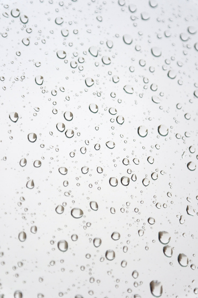Water drops on the window - Photo, Image
