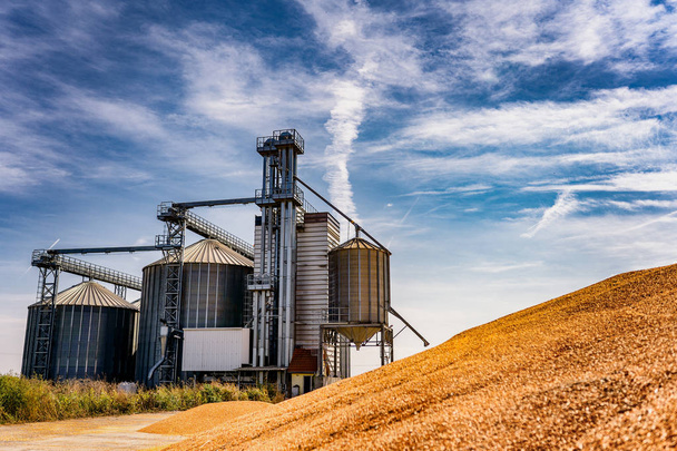 Fundo agrícola Silos modernos para armazenamento de milho e colheita de grãos
 - Foto, Imagem