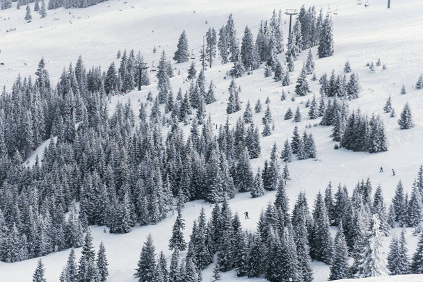 floresta nevada com snowlift, inclinação pessoas esqui
 - Foto, Imagem