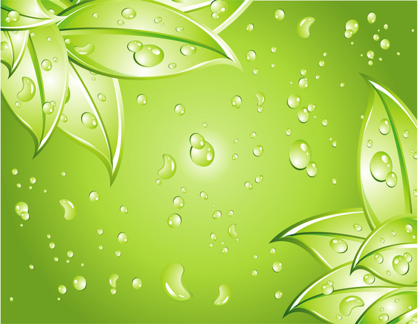 Green Leaves Background - Vector, Image