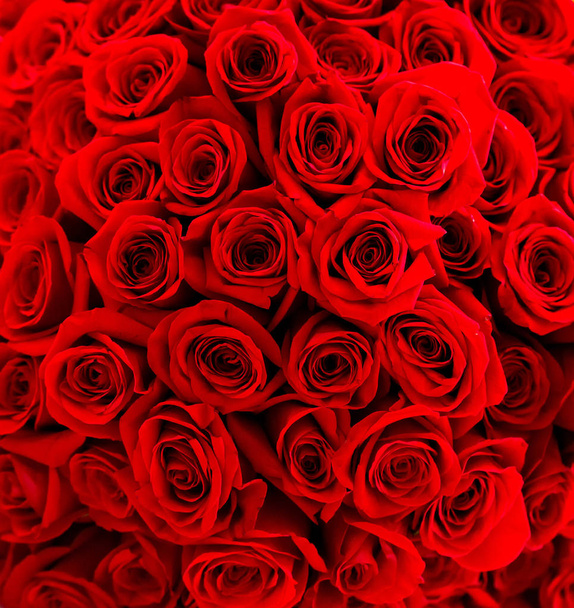 1100 Red natural roses background bouquet - Photo, Image