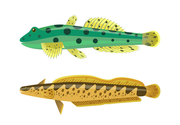 Rainbow Trout with Green Fish Vector Illustration - Διάνυσμα, εικόνα