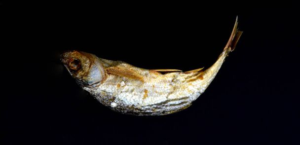 droge vis Alburnus belvica, beroemde tzironka van Prespa, Macedonië, image - Foto, afbeelding