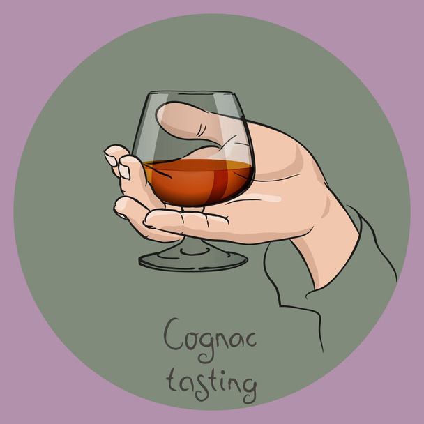 weibliche oder männliche Hand, die ein Cognacglas hält. Kostprobe von Cognac / Brandy. Vektorzeichnung. - Vektor, Bild