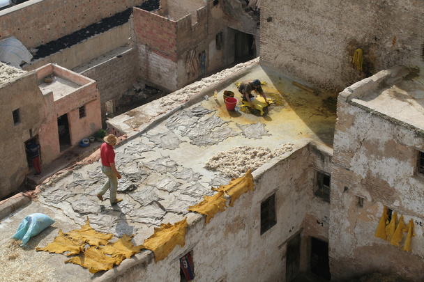 δέρμα χρωματισμό την εργασία πάνω από τις στέγες της Φεζ - Φωτογραφία, εικόνα