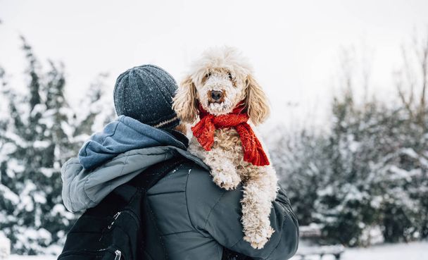 Happy pet and his owner having fun in the snow in winter holiday season. Winter holiday emotion. Man holding cute puddle dog with red scarf. Film filter image. - Foto, Bild