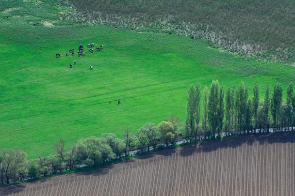 ganadería y lugares agrícolas en las zonas rurales
 - Foto, Imagen