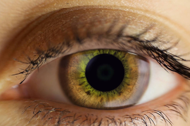 Людське жіноче око світло-коричневе. Око близько
 - Фото, зображення