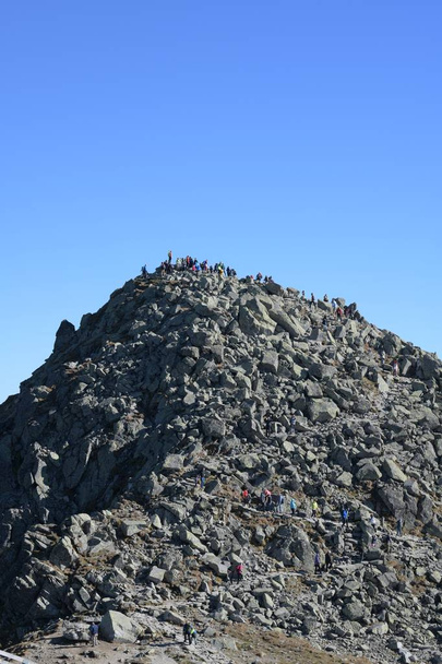 a pile of blue and white rocks on a background of a mountain - Fotó, kép