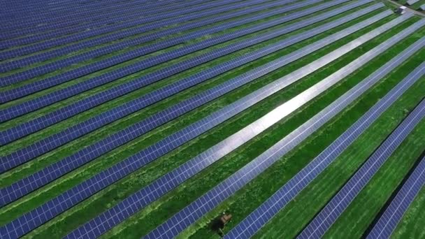 Hosszú sorok a fotovoltaikus napelemek a zöld mező, napsütéses napon. Légi táj a megújuló energia napelem modulok. Naperőmű összetett. Alternatív energiatermelés - Felvétel, videó