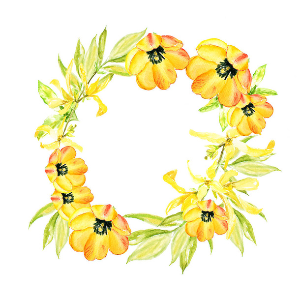 Easter wreath with yellow forsythia and yellow tulips. Square border. Watercolor illustration on white background - Foto, afbeelding