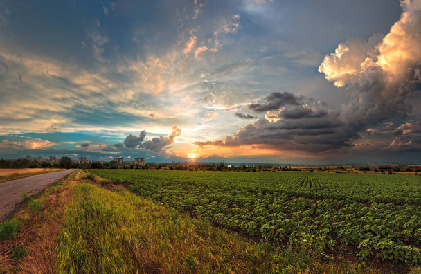 Una puesta de sol nublada de verano. Un campo al atardecer. Vista panorámica. Puesta de sol ucraniana. Paisaje de Ucrania
 - Foto, imagen