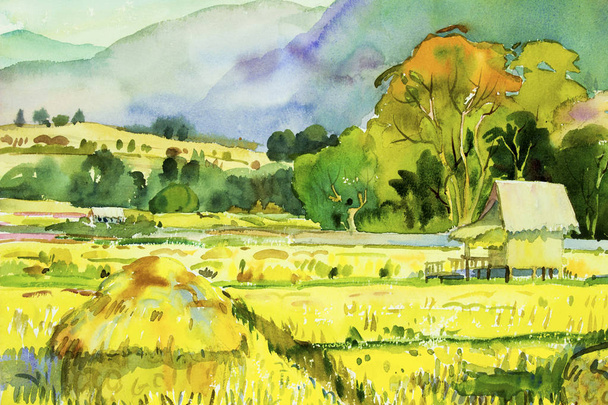 Akvarel krajiny originál malba na papíře barevné pole vesnice a rýže ráno s sky zobrazit pozadí, ručně malované ilustrace krásy přírody Zimní sezóna v Thajsku. - Fotografie, Obrázek