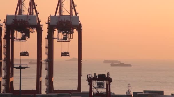 Shanghai Cargo terminálu, kontejnerových lodí a Zvedací jeřáby při západu slunce, (Yangshan je jedním z nejrušnějších kontejner přístavu na světě) - Záběry, video