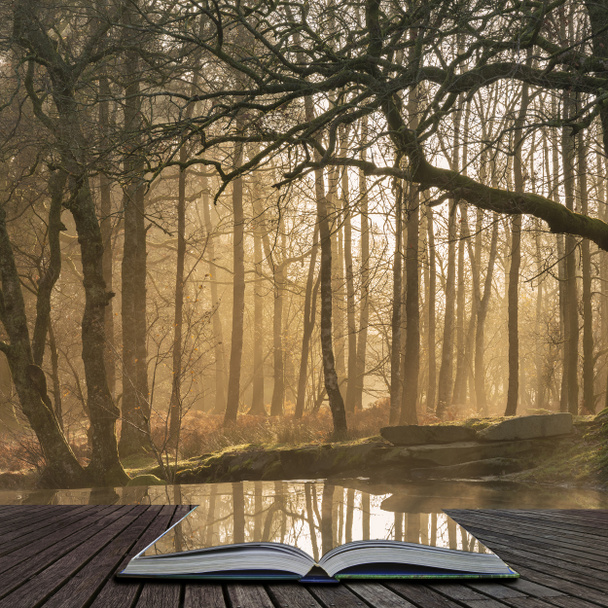 美しい太陽の梁や開いた本のページから出てくる輝き湖水地方森林でまだストリームの見事な風景画像 - 写真・画像