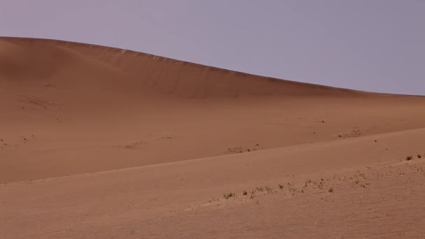 A sivatagban, festői homokvihar - Felvétel, videó