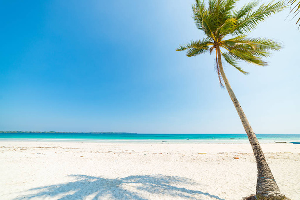 Bílý písek pláží kokosovými palmami a vějířovitý, tyrkysově modrou vodou, tropický ráj, cestovní cíl, Kei ostrov, Moluky, Indonésie, pouštní pláže bez lidí - Fotografie, Obrázek