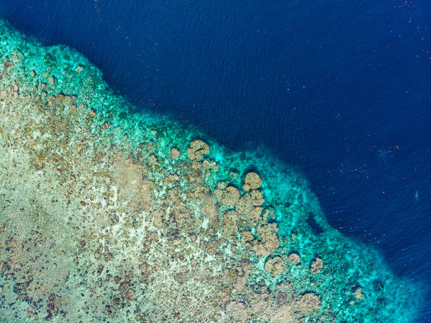 Εναέρια πάνω προς τα κάτω άποψη κοραλλιογενή ύφαλο τροπική Καραϊβική Θάλασσα, τιρκουάζ νερά. Μολούκες Νήσους της Ινδονησίας αρχιπέλαγος, τα νησιά Banda, Pulau Hatta. Κορυφαία ταξιδιωτικά τουριστικός προορισμός, καλύτερη Κατάδυση Κολύμβηση με αναπνευστήρα. - Φωτογραφία, εικόνα