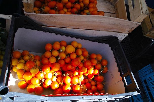 tomate amarillo cereza en el mercado
 - Foto, imagen