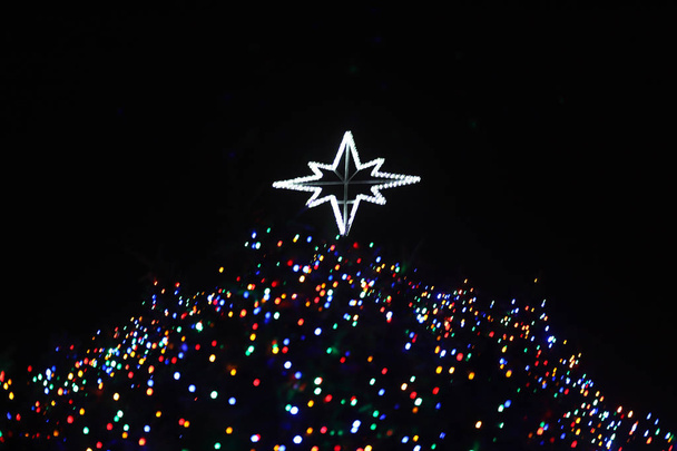 Όμορφη φανταστική διάθεση φωτογραφιών από ένα χριστουγεννιάτικο δέντρο μέσα στη νύχτα - Φωτογραφία, εικόνα
