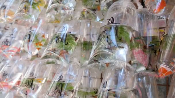 Złota rybka w plastikowe torby na sprzedaż na rynku w Hong Kongu - Materiał filmowy, wideo