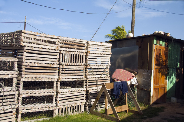 Lobster pot traps Corn Island Nicaragua - Photo, Image